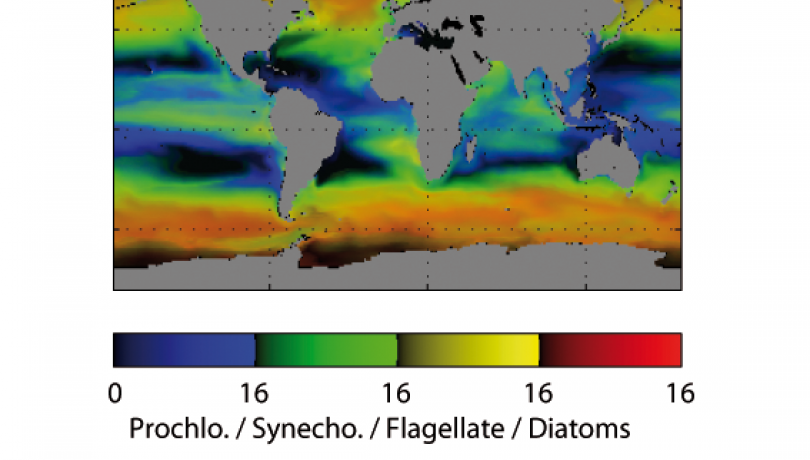 Mapa global del océano del modelo de diversidad del fitoplancton por grupos funcionales. Unidades: [# especies] (contribuyendo >  1% de la biomasa total). Colores: Prochlorococcus (azul), Synechococcus (verde), flagelados (amarillo), diatomeas (rojo).