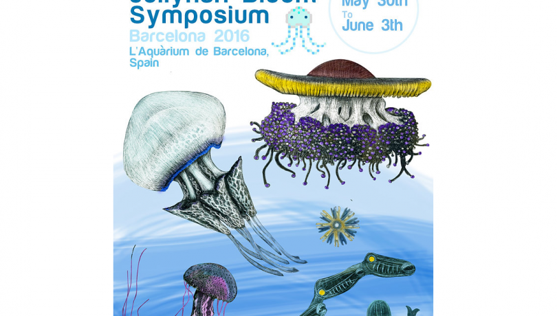 The ICM organizes the V International Jellyfish Bloom Symposium