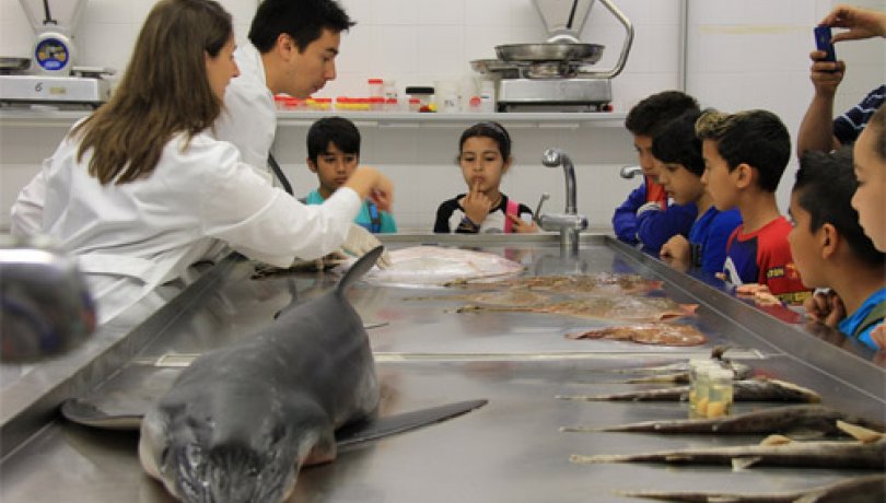 Científicos y escolares en los laboratorios del ICM-CSIC, en la anterior edición de Magnet.