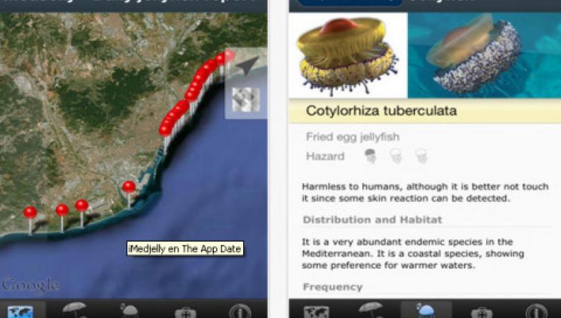 Se amplía la cobertura de la app MedJelly a todo el litoral catalán