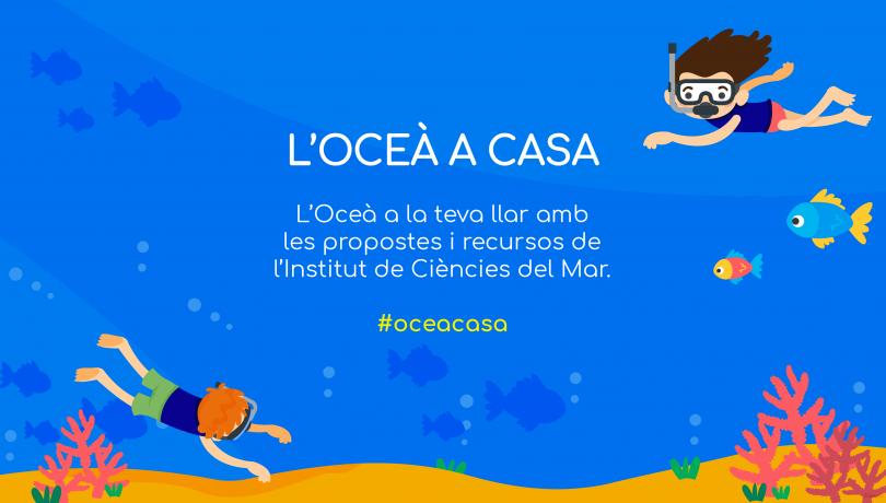 El Institut de Ciències del Mar del CSIC lanza recursos en línea para descubrir el Océano desde casa