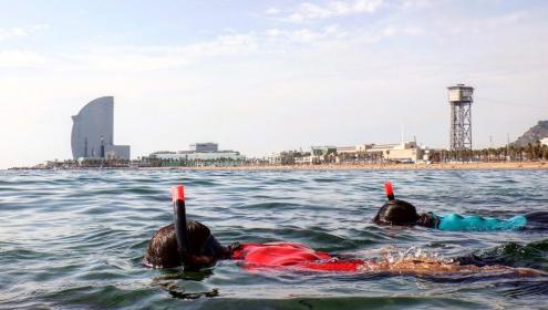 La BioMARató se celebrará en Cataluña entre finales de abril y principios de mayo ya lo largo de todo el verano 2021 / Anèl·lides Serveis Ambientals