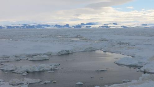 Superficie del mar en el Golfo del Erebus y el Terror