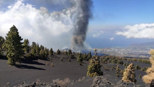 Los datos adquiridos complementarán aquellas obtenidas por los sismógrafos convencionales actualmente en funcionamiento en La Palma. / Stavros Meletlidis (IGN).