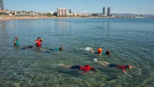 Han participado 117 personas que han recogido más de 10,000 observaciones/ Anèl·lides - Serveis Ambientals.