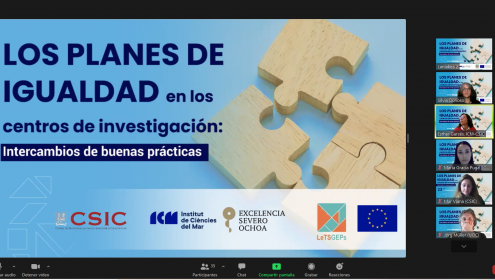 El evento se celebró online y reunió a medio centenar de personas / ICM-CSIC.