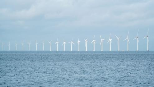 Los expertos aseguran que estas instalaciones pueden provocar "graves impactos" sobre la biodiversidad marina / Depositphotos
