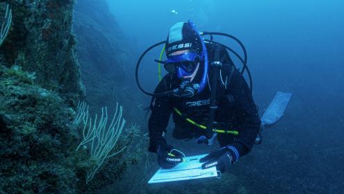 Observadores del Mar se creó en 2012 y celebra este año su décimo aniversario / Joaquim Garrabou (ICM-CSIC).