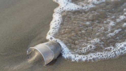 Just because plastic is biodegradable does not mean that it will degrade in all conditions / Pixabay.