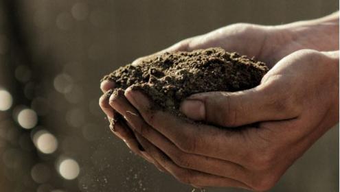 The latest IPCC report focuses on solutions to reverse the current crisis situation / Unsplash.