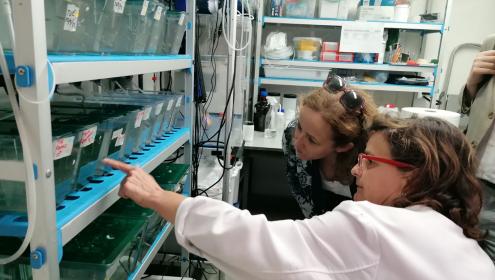 La presidenta se interesó por la investigación desarrollada en el ICM-CSIC.