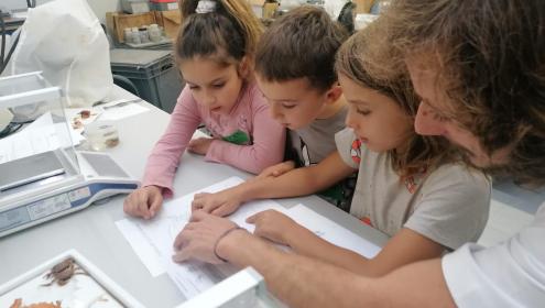 Una docena de centros escolares han visitado el Instituto durante las Jornadas de Puertas Abiertas / ICM-CSIC.