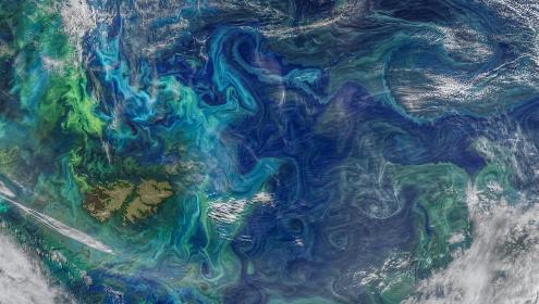 La imatge mostra la concentració d'algues microscòpiques (tons blavosos i verdosos) seguint les formes dels corrents superficials a l'Atlàntic Sud, així com els núvols marins, la formació dels quals és impulsada per les emissions de gasos produïts pel plàncton / NASA.