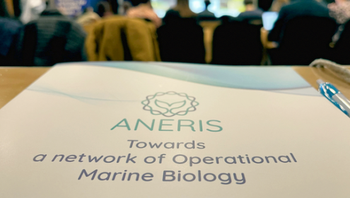 ANERIS utilizará la genómica, la biología de la imagen y la ciencia ciudadana para la monitorización de la vida marina / France-BioImaging Research Infrastructure.