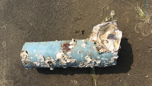 Marine debris accumulation occurs mostly near highly populated cities or tourist destinations / Gunasekaran Kannan.