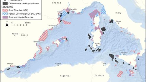 In this map of the Western Mediterranean, pilot projects and offshore wind energy development zones are drawn, as well as the different categories of Natura 2000 areas / ICES Journal of Marine Science.