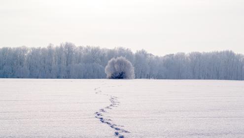 The "Library of ice" will trace the humanities' petties in the planet's landscapes / Pixabay.