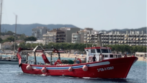 A partir del año 2013, los pescadores redujeron voluntariamente el esfuerzo pesquero y se limitó la potencia del motor de los barcos / ICM-CSIC.