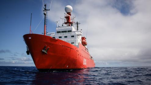 Los resultados de la investigación pueden ayudar a predecir los efectos del cambio climático en los ecosistemas marinos / ICM-CSIC.