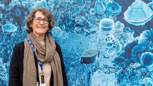  The researcher studies the effects of fishing on organisms and habitats of the seabed / ICM-CSIC.