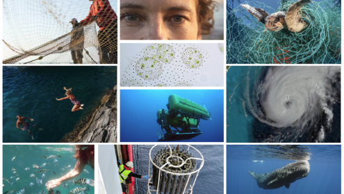  The campaign includes a series of photographic reports that delve into significant lines of research at the ICM / ICM-CSIC.