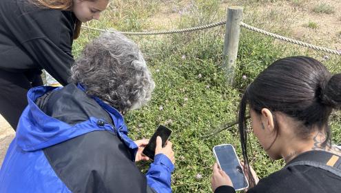 Desde el inicio del proyecto, se han recolectado más de 5.200 observaciones de 599 especies / BioPlatgesMet.