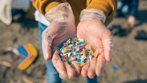 Las estrategias de biorremediación natural se perfilan como una alternativa prometedora para reducir el impacto de los residuos plásticos en el mar / iStock.