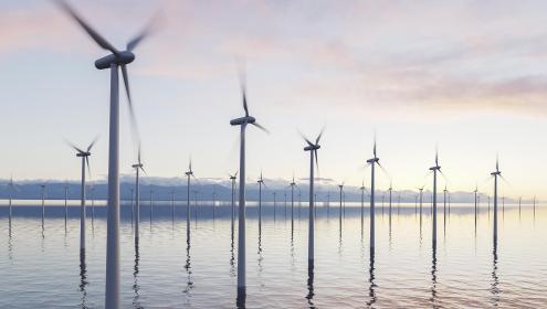 La efectividad de esta herramienta ha sido demostrada mediante su aplicación en la evaluación de los planes espaciales marinos de la zona transfronteriza del Golfo de Vizcaya / Windmill Project.
