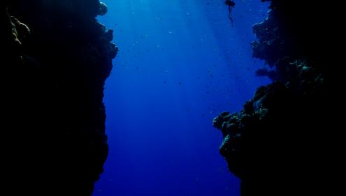 El informe del IPBES plantea un cambio de paradigma en la toma de decisiones / iStock.