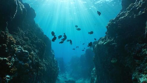 Maritime planning can become a cornerstone of global ocean-based climate action / iStock.