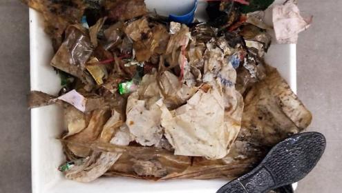 According to the work, plastic, which represents up to 63% of waste / ICATMAR.