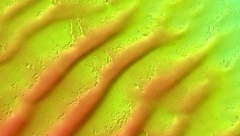 The seabed keeps being perceived as a distant place, almost alien to everyday life / CSIC.