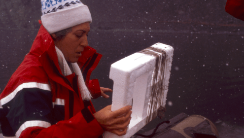 Born in Barcelona in 1935, Josefina Castellví graduated with a degree in Biology from the University of Barcelona and received her doctorate in 1969 / ICM-CSIC.