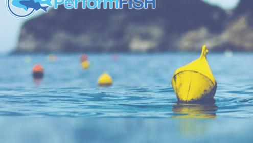 The ICM participates in PerformFISH: A European Project Focused on a New Era of Consumer-Driven Development in Mediterranean Aquaculture