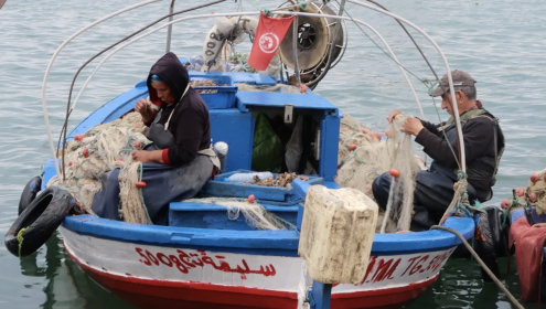 500 pescadores artesanales de 9 países mediterráneos han sido entrevistados en este estudio. / Foto: ISPRA