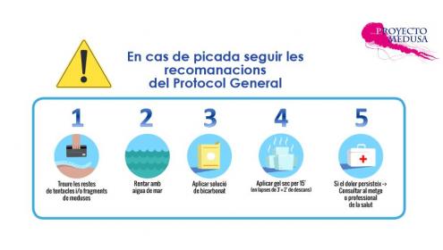 Qué hacer si te pica una medusa