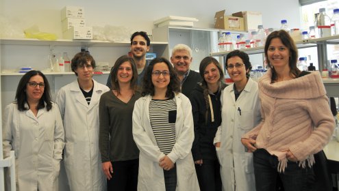 Premio Jacumar de Investigación en Acuicultura a Francesc Piferrer