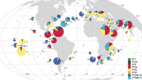 La distribución global de las cianobacterias más camaleónicas