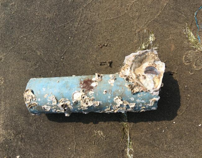 La acumulació de deixalles marines es dona sobretot a prop de ciutats altament poblades o destinacions turístiques / Gunasekaran Kannan.