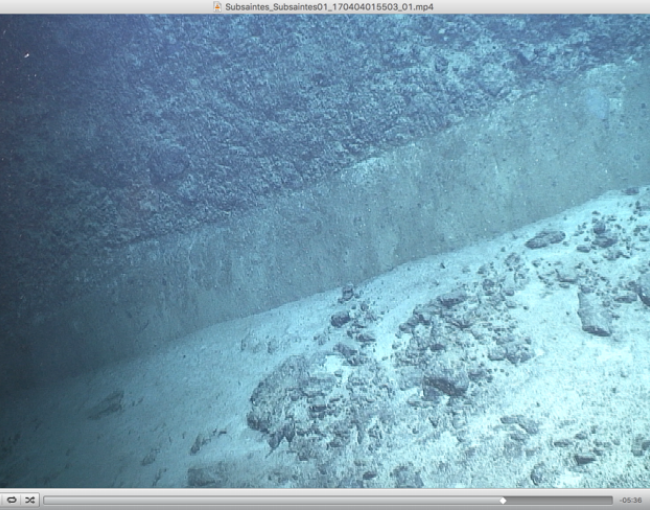 Imatge del vehicle submarí ROV Victor 6000 de la Flotte Océanographique Française explorant l’escarpament de la falla de Roseau, situat entre Guadalupe i Dominica, a les Antilles Menors, a uns 1000 metres de profunditat / © Campanya SUBSAINTES Flotte Océanographique Française (J. Escartin i Frédérique Leclerc).