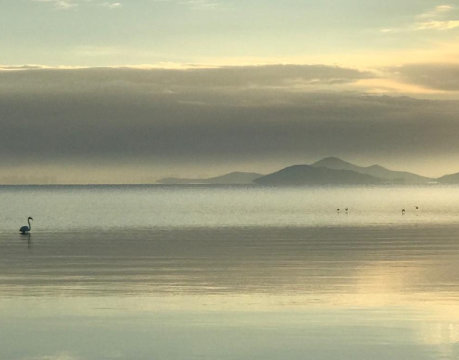 En arribar a la zona costanera es creen les condicions adequades per a la formació de metilmercuri, la forma més tòxica d'aquest metall / ICM-CSIC.