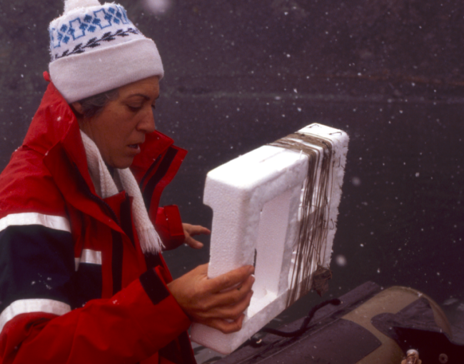 Nascuda a Barcelona l’any 1935, Josefina Castellví es va llicenciar en Biologia a la Universitat de Barcelona i es va doctorar l'any 1969 / ICM-CSIC.