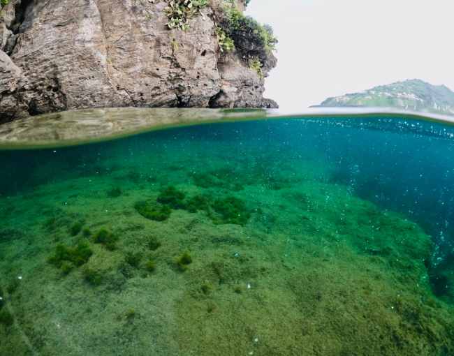 Els respiradors naturals d’Ischia (Itàlia) són zones costaneres on bombolles volcàniques de CO₂ redueixen de manera natural el pH de l’aigua / Jérémy Carlot.