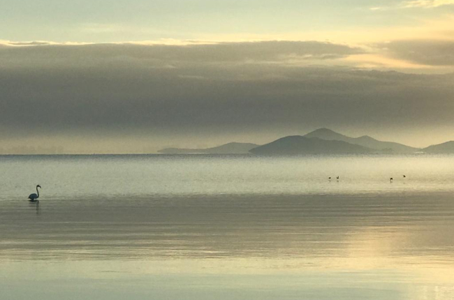 En arribar a la zona costanera es creen les condicions adequades per a la formació de metilmercuri, la forma més tòxica d'aquest metall / ICM-CSIC.
