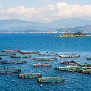 Icm Csic mar de ciencia transferencia de conocimiento.jpg 