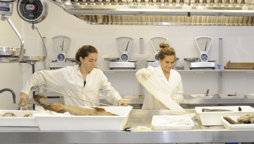 Fisheries Monitoring and Aquaculture