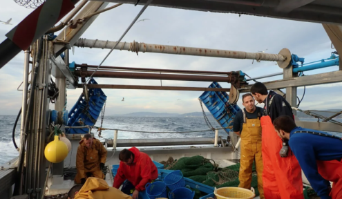 Entre els objectius d'ICATMAR està el de millorar la gestió dels recursos pesquers / UN Ocean Decade. Entre els objectius d'ICATMAR està el de millorar la gestió dels recursos pesquers / UN Ocean Decade.