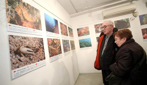 expo biomarató