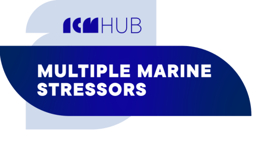 ICM HUB Multiple Marine Stressors